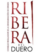 Encuentra los mejores vinos de la D.O. Ribera del Duero